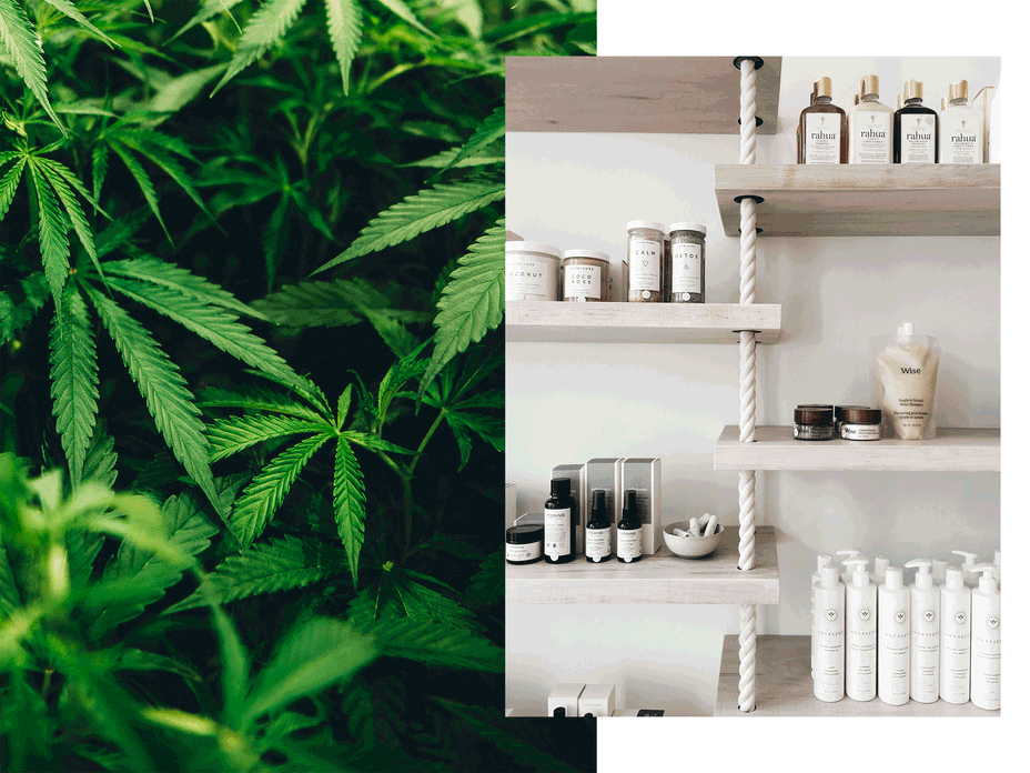 cannabis-beauty