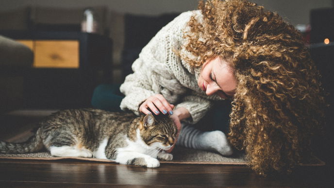 Neue Studie enthüllt: Darum ist es gesund, eine Cat Lady zu sein
