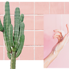 Aus der Wüste auf die Haut: Kaktus Kosmetik ist der neueste Beautytrend