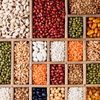Seed Cycling: Mit der richtigen Ernährung erfolgreich PMS bekämpfen