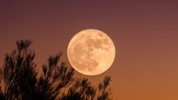 Mysterium Stör-Mond: Diesen Einfluss hat er auf dein Sternzeichen