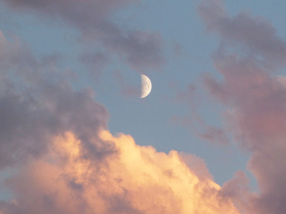 Neumond