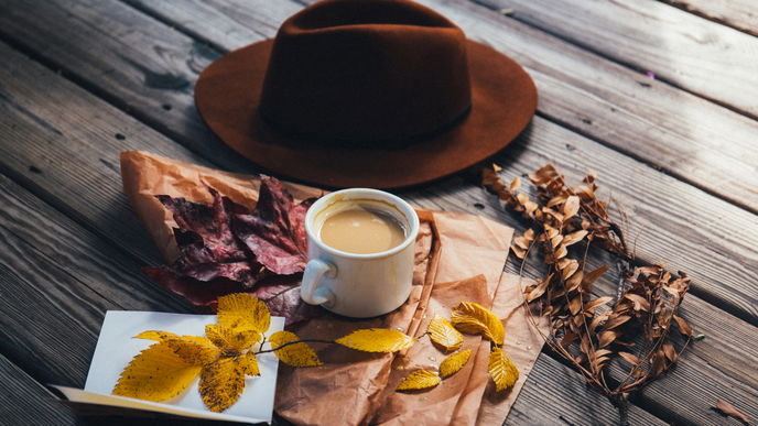 Diese 5 Dinge machen den Herbst zur besten Jahreszeit EVER!