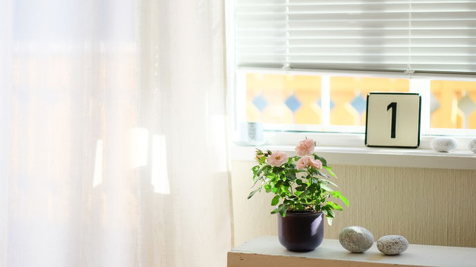 Fenster vor neugierigen Blicken schützen - So geht’s!