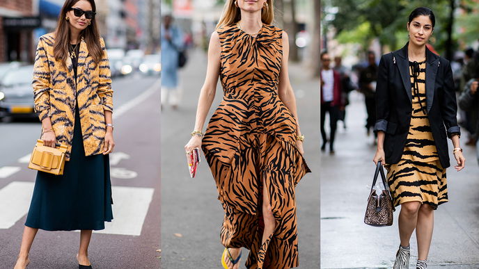 Tiger Print: Schlägt Tiger Leo in die Flucht?